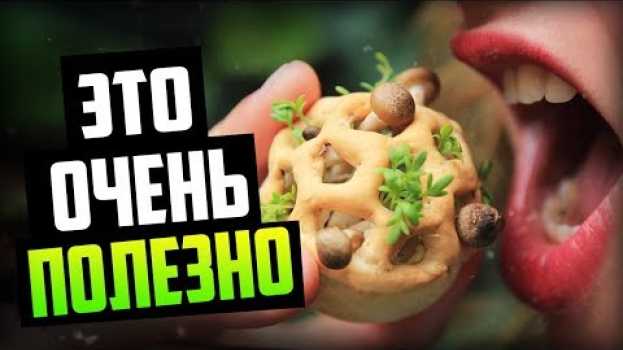 Video Самые Полезные Продукты Питания (Мы Этого Не Замечаем!) na Polish