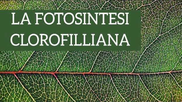 Video Fotosintesi clorofilliana: ecco le basi! em Portuguese