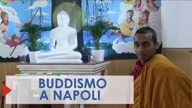 Video Come si diventa buddisti: viaggio nel cuore del buddismo a Napoli. in English