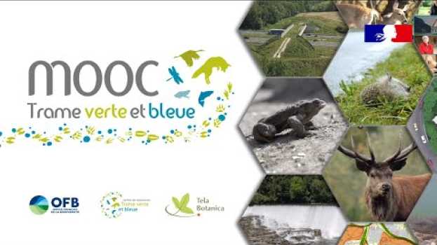 Video Teaser du MOOC Trame verte et bleue - Partie 2 su italiano