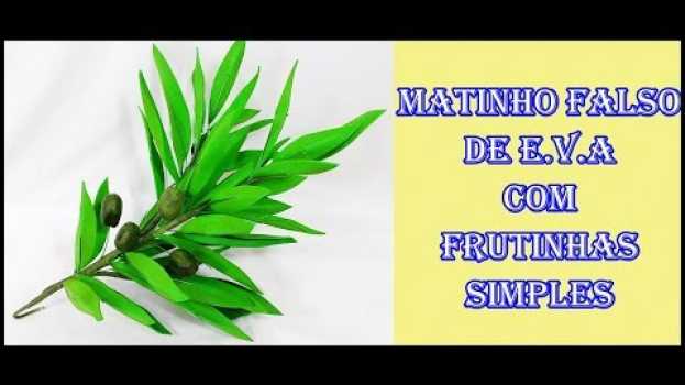 Video Matinho falso de eva com frutinhas muito simples en français