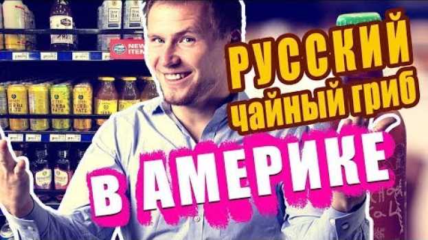 Video Чайный гриб Комбуча | Kombucha. Где в Америке купить русский Чайный гриб? Американский маркетинг #9 na Polish