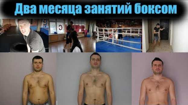 Видео Два месяца занятий боксом ИТОГ 🥊 В БОКС ПОСЛЕ 30 лет на русском