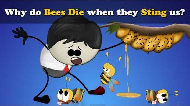 Video Why do Bees Die when they Sting us? + more videos | #aumsum #kids #science #education #children in English
