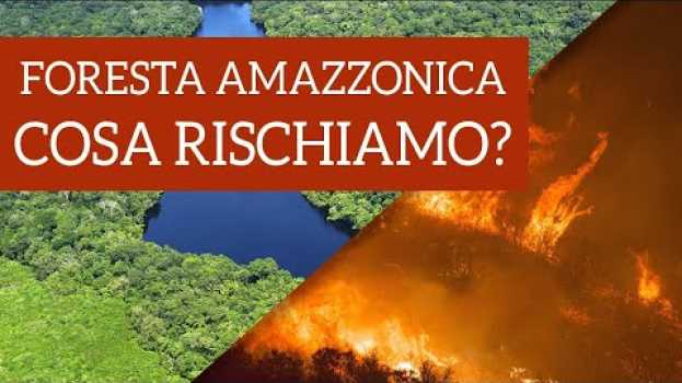 Video Foresta Amazzonica in fiamme, cosa succede? Cosa rischiamo? en Español