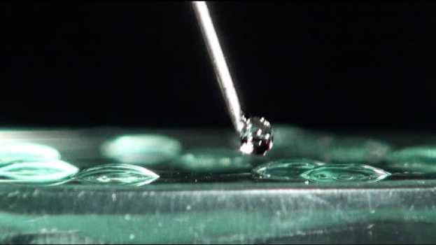 Video Hydrophile et hydrophobe — expérience scientifique #6.05 de Grains de bâtisseurs su italiano