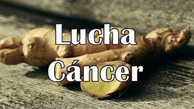 Video Esta raíz natural puede ser tan efectiva para luchar contra el cáncer como lo es la quimioterapia em Portuguese