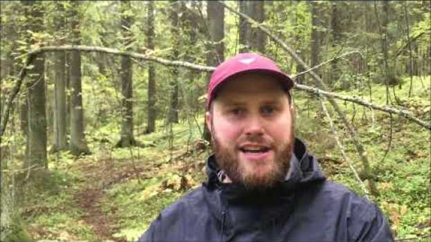Video  in English