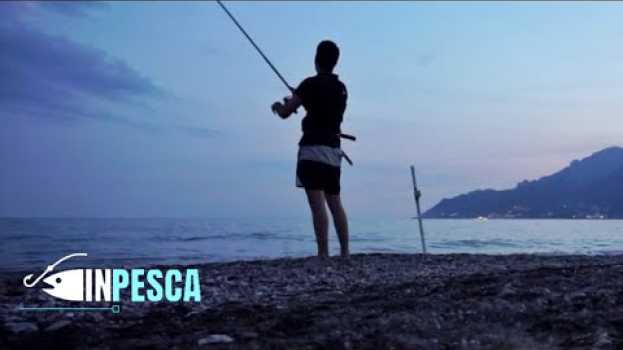 Видео Pesca a Fondo dalla Spiaggia | Sul calasole e tra le reti sottocosta на русском
