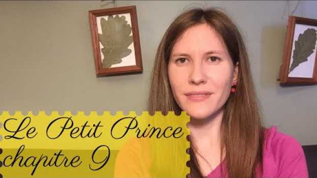 Video Chapitre 9. Le Petit Prince -  Antoine de Saint-Exupéry (EN/FR SUB) su italiano
