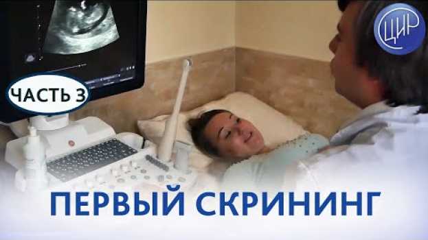 Video Первый скрининг при беременности. Как проходит первый скрининг (скрининг первого триместра) в ЦИР. na Polish
