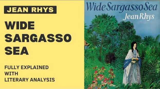 Video Jean Rhys - Wide Sargasso Sea Fully Explained Summary with Literary Analysis en français