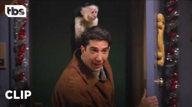 Video Friends: Ross Gets A Pet Monkey Named Marcel (Season 1 Clip) | TBS en français