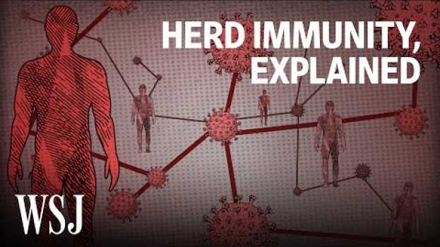 Video What It Would Take to Reach Herd Immunity | WSJ em Portuguese