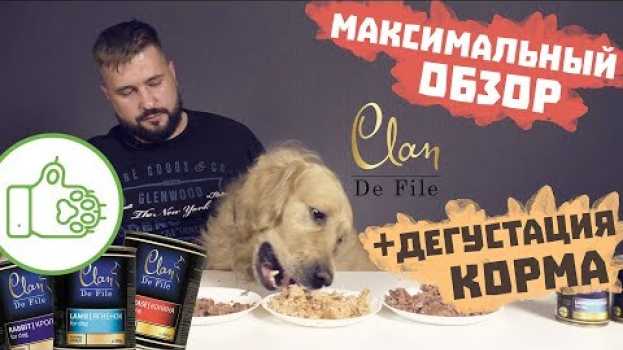 Video Clan De File консервы для собак – еда для собак или людей? | Собачий корм Clan De File | Обзор корма su italiano