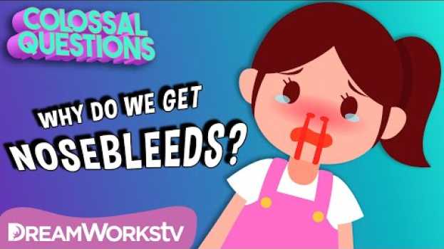 Video Why Do You Get Nosebleeds? | COLOSSAL QUESTIONS em Portuguese