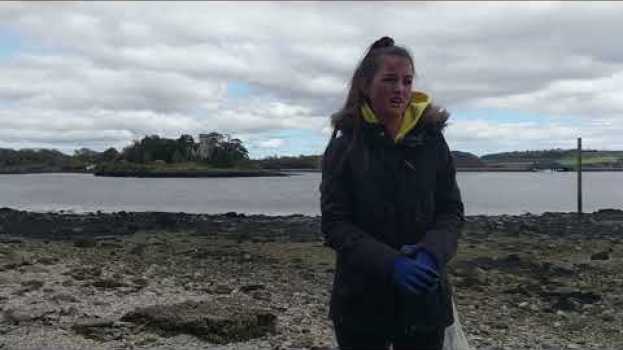 Video It's amazing how much litter there is here - Cork Greens clean the strand at Little Island su italiano