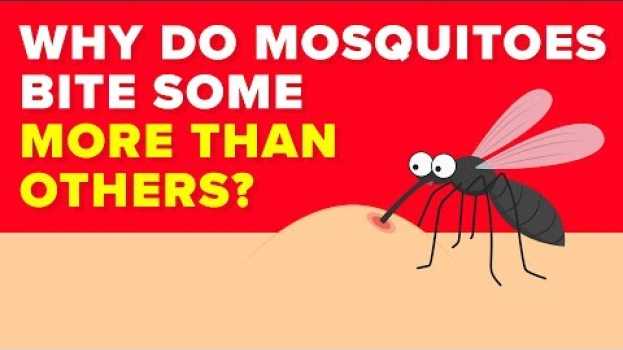 Video Scientists Finally Know Why Mosquitoes Bite Some People More Than Others - Mystery Revealed in Deutsch