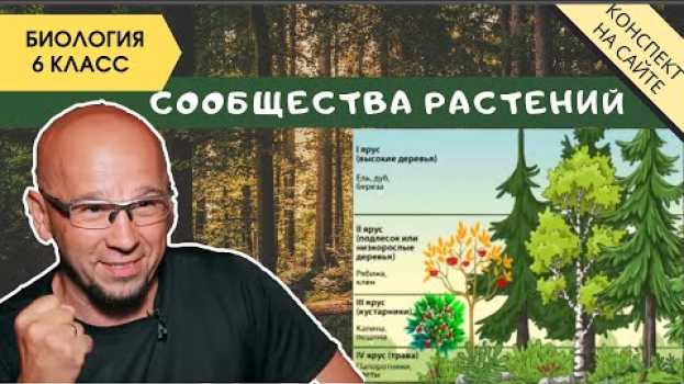 Video Растительные сообщества природы. Биология 6 класс. Фитоценоз. Симбиоз растений и их взаимодействие en Español