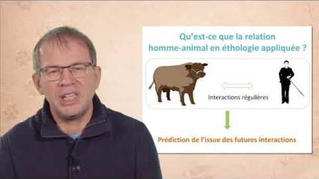 Video Relation humain-animal en élevage, regards croisés d'un éthologiste et d'une vétérinaire praticienne in Deutsch