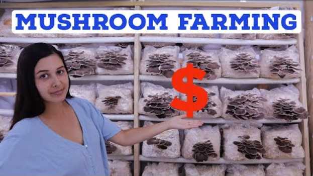 Видео How To Be a Profitable Mushroom Farmer на русском