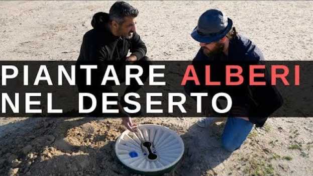 Video Piantare Alberi nel Deserto em Portuguese