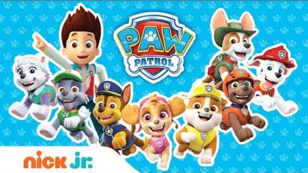 Video How Many PAW Patrol Friends Can You Name in Ft. Chase, Chickaletta, & More! | PAW Patrol | Nick Jr. na Polish