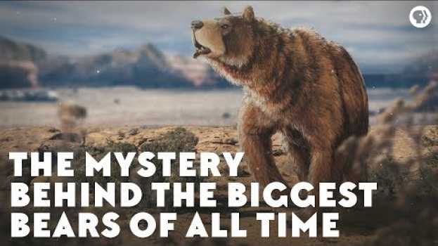 Видео The Mystery Behind the Biggest Bears of All Time на русском