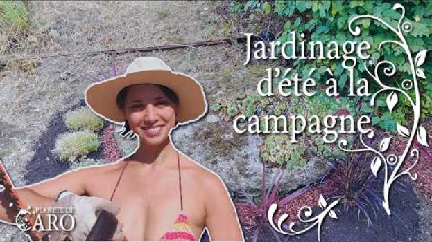 Video Jardinage d'été : je redonne vie au puit em Portuguese