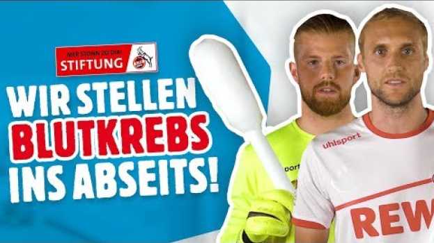 Видео DKMS und die Stiftung 1. FC Köln: Wir stellen Blutkrebs ins Abseits! | DKMS Deutschland на русском