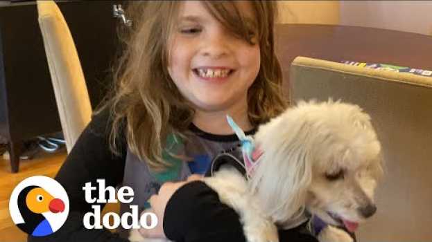 Video She's Allergic To Dogs — Watch Her Dad Find Her The Perfect Rescue Pup! | The Dodo Adoption Day na Polish