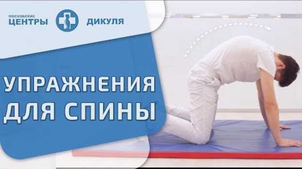 Video ⚾ Комплекс обезболивающих упражнений для поясницы. Обезболивающие упражнения для поясницы. 12+ na Polish
