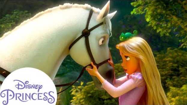 Video Disney Princesses and their Horses! | Disney Princess in English