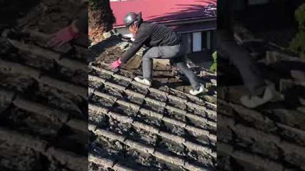 Video  em português
