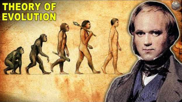 Video What Happened After Theory of Evolution Was Published en Español