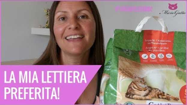 Видео La mia lettiera per gatti preferita: Cat's Best eco plus recensione ❤ на русском