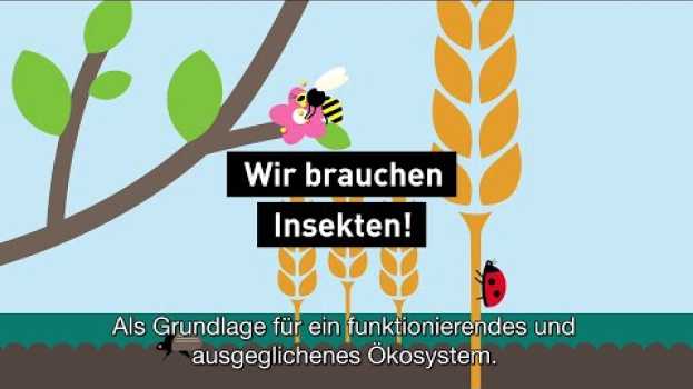 Video Wir brauchen Insekten! em Portuguese
