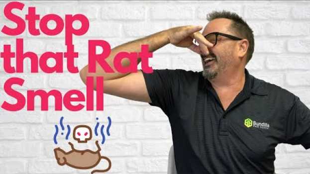 Video Get Rid of That Dead Rat Smell em Portuguese