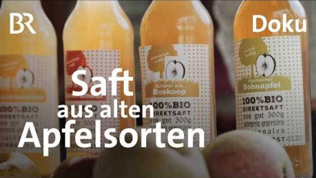 Video Sortenreine Apfelsäfte aus Riedenburg: Schatzsucherin Luise Naderer |Zwischen Spessart und Karwendel su italiano