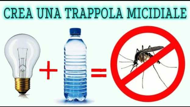 Video crea la miglior trappola per zanzare, micidiale per tutti gli insetti con le ali, stop zanzare su italiano