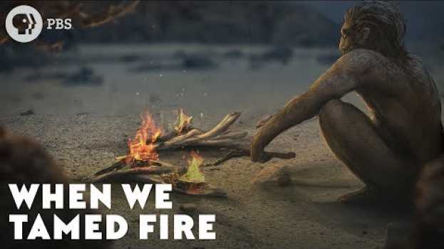 Video When We Tamed Fire en Español