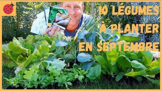 Video 10 légumes à planter en septembre au potager ! su italiano