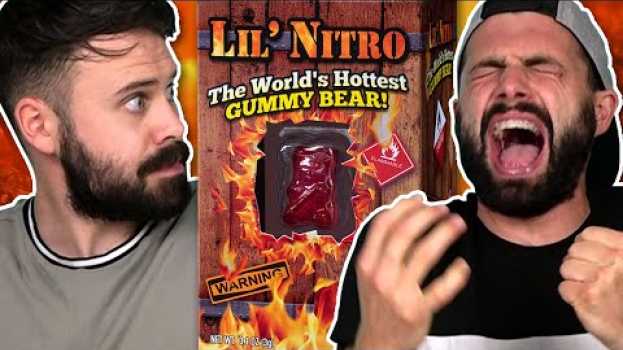 Видео Irish People Try The World's Hottest Gummy Bear (9 Million Scoville!) на русском