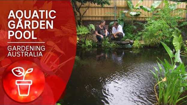 Видео Convert your pool into a pond | DIY Garden Projects | Gardening Australia на русском