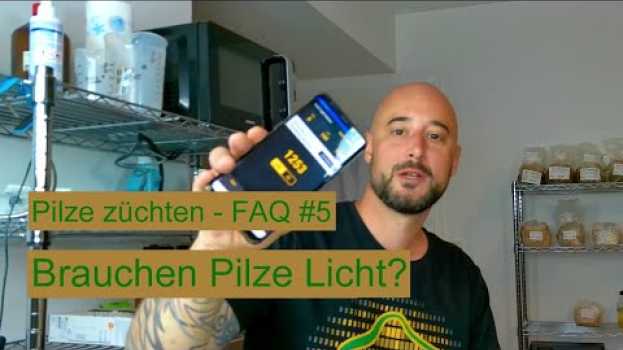 Видео Pilze züchten - Brauchen Pilze Licht? Pilzzucht FAQ #5 на русском