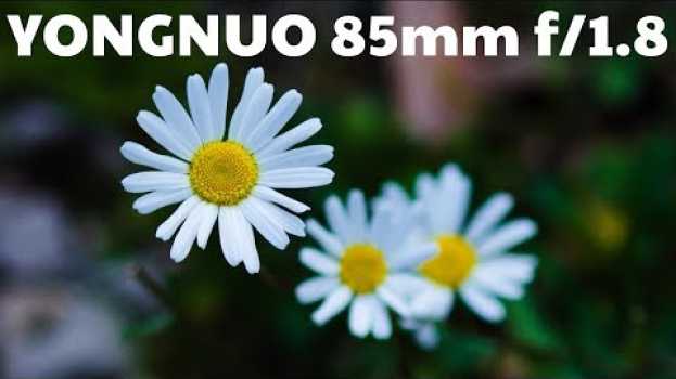 Video Lente Yongnuo 85mm - Review e Comparação com Canon – Será que vale o preço? in English