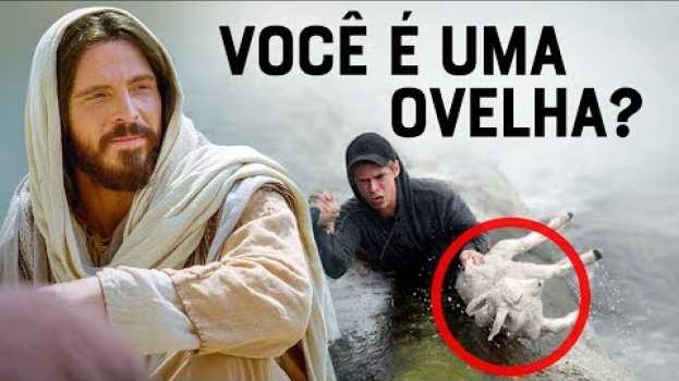 Video VEJA SE VOCÊ É UMA OVELHA DE JESUS (O Que Significa a Parábola da Ovelha Perdida) su italiano