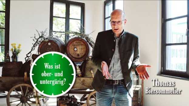 Video Was ist ober- und untergärig? | 1 Minute Bier mit Distelhäuser in Deutsch