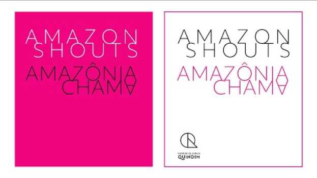 Video Amazônia Chama/Amazon Shouts - Artistas pela Amazônia in English