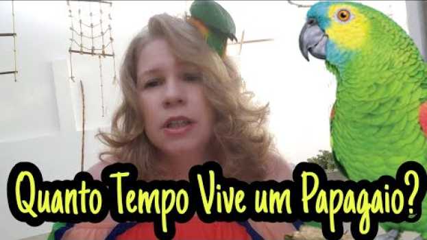 Видео Quanto Tempo Vive um Papagaio? на русском